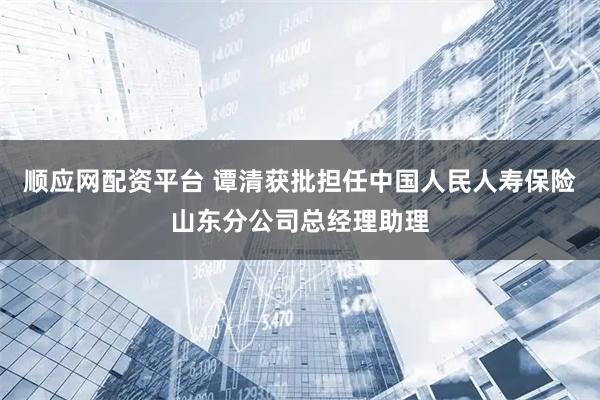 顺应网配资平台 谭清获批担任中国人民人寿保险山东分公司总经理助理