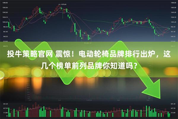 投牛策略官网 震惊！电动轮椅品牌排行出炉，这几个榜单前列品牌你知道吗？
