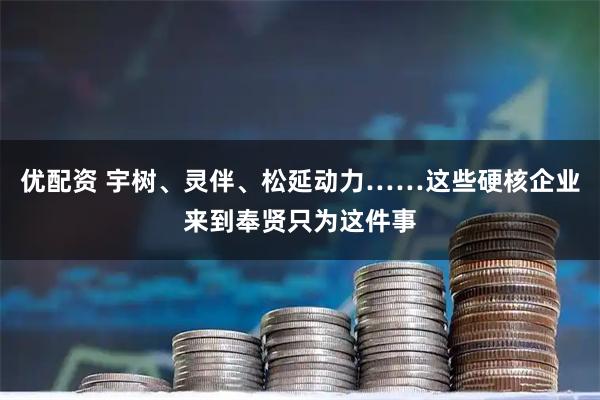 优配资 宇树、灵伴、松延动力……这些硬核企业来到奉贤只为这件事