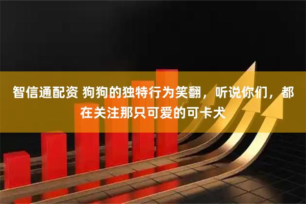 智信通配资 狗狗的独特行为笑翻，听说你们，都在关注那只可爱的可卡犬