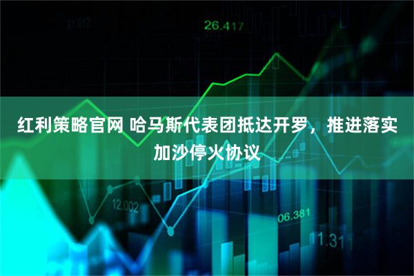 红利策略官网 哈马斯代表团抵达开罗，推进落实加沙停火协议